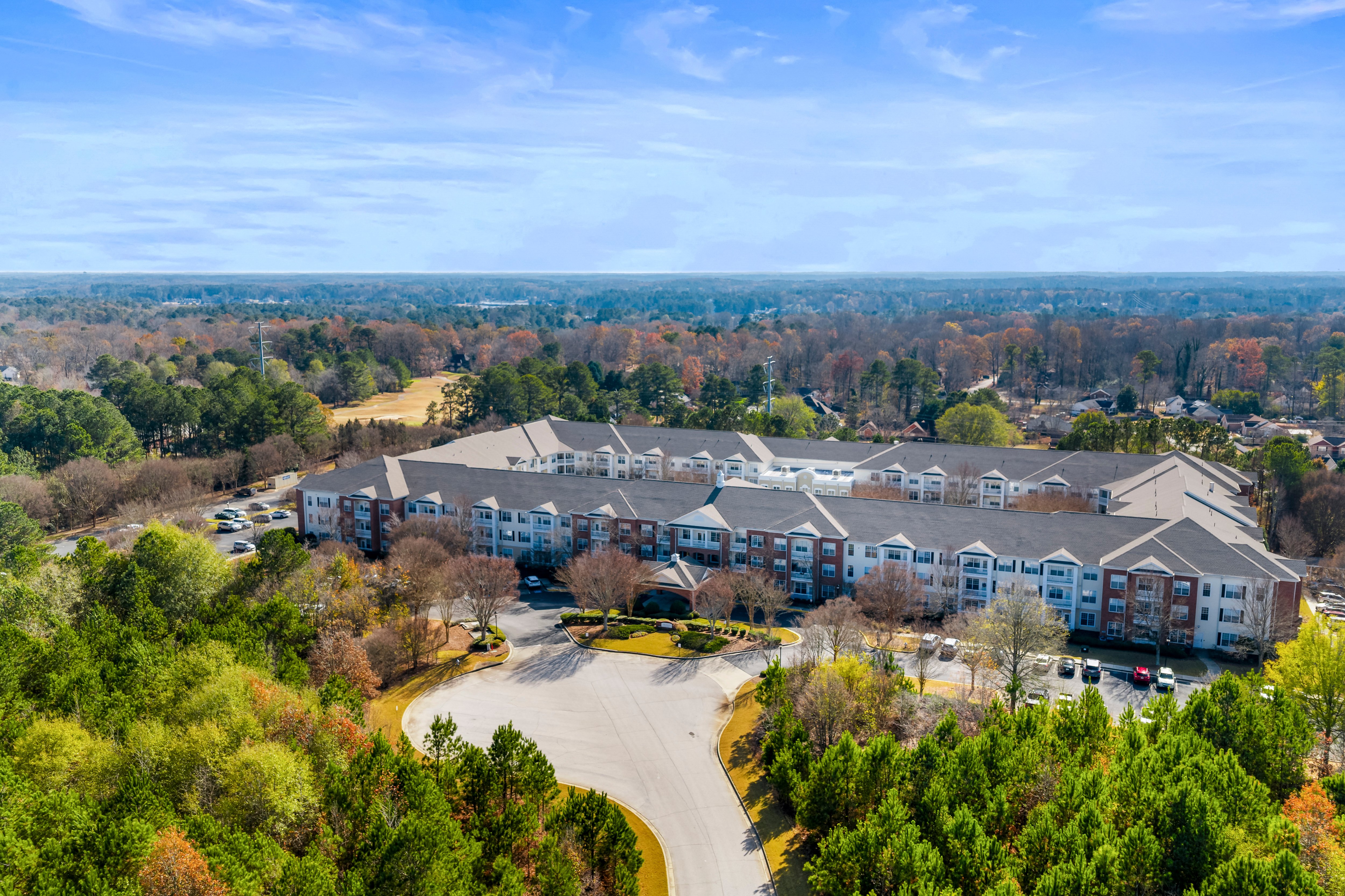 tpls-The-Palms-Lake-Spivey-003-Aerial