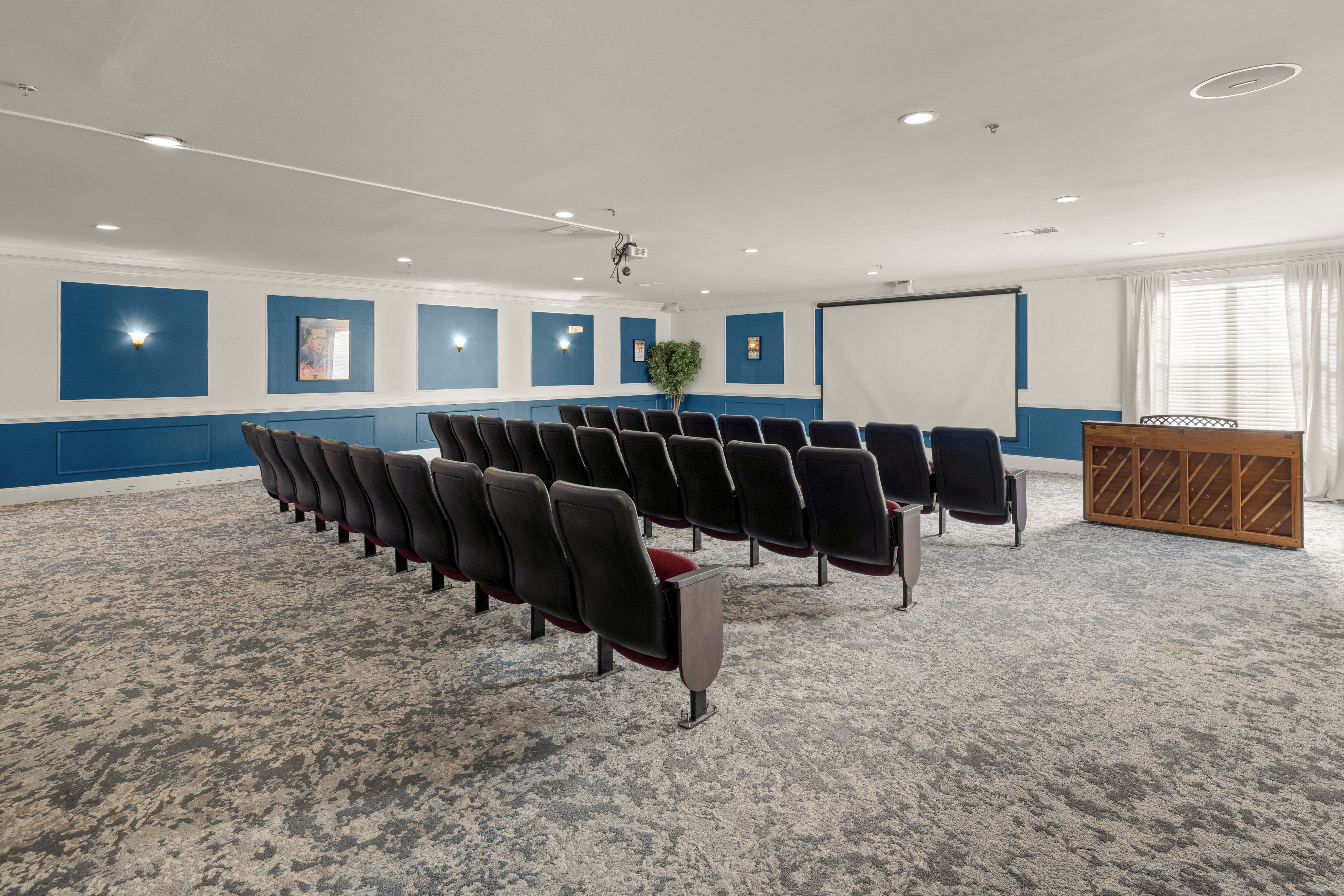 tpls-The-Palms-Lake-Spivey-014-theater